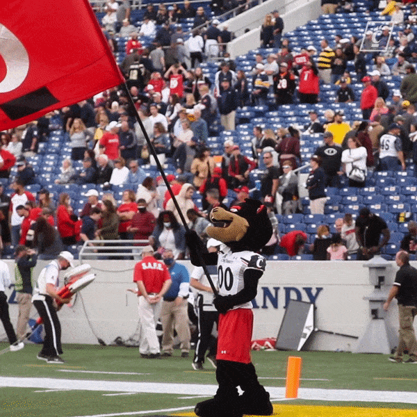 College Football Victory GIF by Cincinnati Bearcats