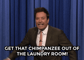 Comedy Reaction GIF by The Tonight Show Starring Jimmy Fallon