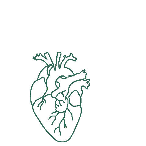 Communityhealth Sticker by Zocalo Health
