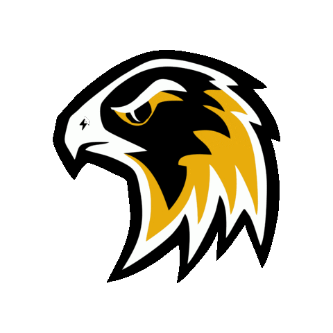 Münster Blackhawks Sticker