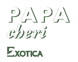 Loveyoudad Sticker by Exotica