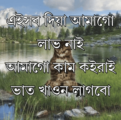 Bangladesh Bnp GIF