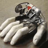 fingers