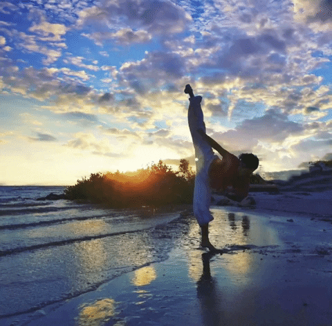 Martial Arts Beach GIF by Jennifer Accomando