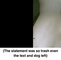 He Made A Statement GIF