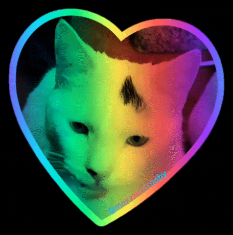 MaxxandRooby cat heart rainbow tongue GIF