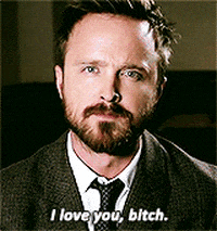 Celebrity gif. Aaron Paul looks at us earnestly and leans forward while saying, "I love you, bitch," which appears as text.