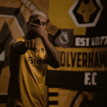Premier League Celebration GIF by Wolves