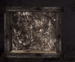 Residentevil4 Mercador GIF