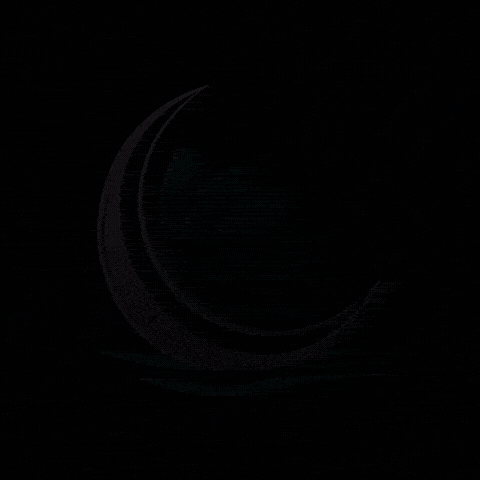 Midnight Spring Studios GIF
