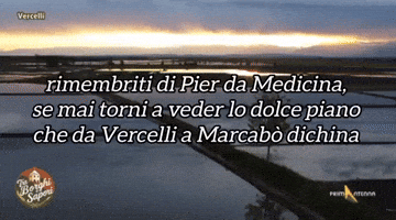 Medicina GIF