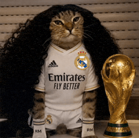 Cucurella GIF