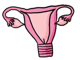 Period Uterus Sticker by KT by Knix