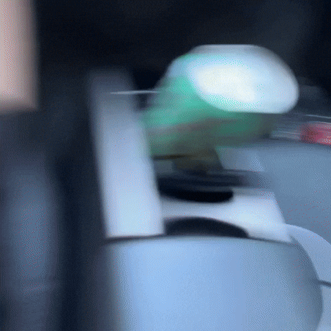 Silchukgif GIF