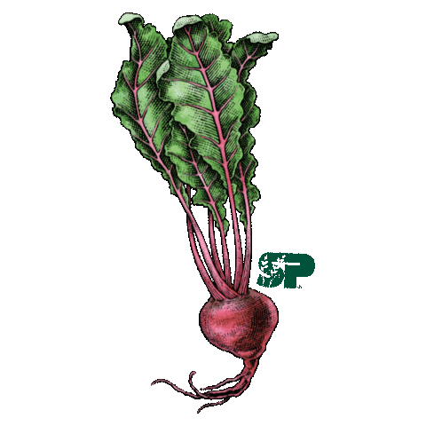 Sticker by Standard Process