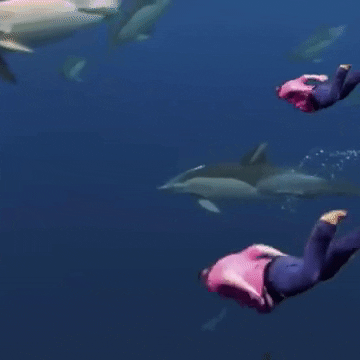 fat man human dolphin GIF by Becky Chung