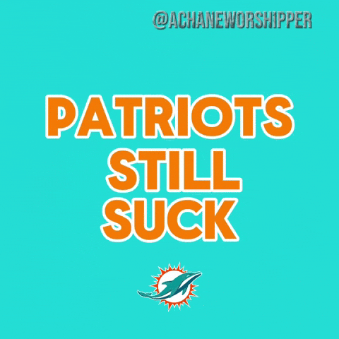 Dolphins GIF