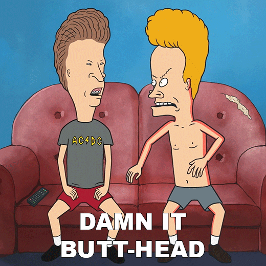 Stop That Beavis And Butthead GIF by Paramount+