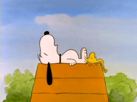 Moe hond dagen GIF