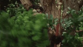Vldl Epic Npc Man GIF by Viva La Dirt League