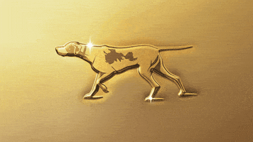 Dog Show GIF by Westminster Kennel Club