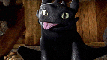 how to train your dragon animation GIF
