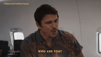 Who Are You GIF by Operation Fortune
