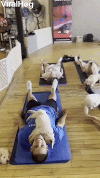 Funny Yoga GIFs - Find & Share on GIPHY