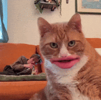Freaky Friday Oliver GIF