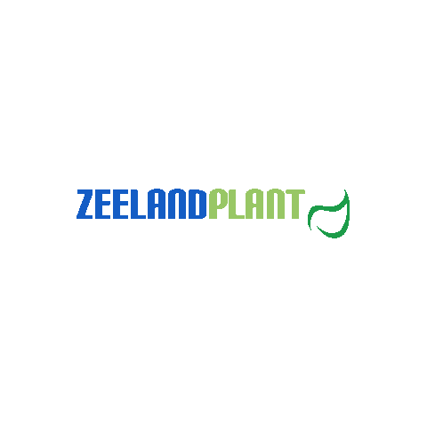 Zeeland Plant Sticker by Percy's Creative Agency