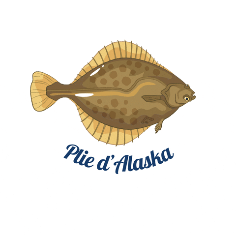 Mer Plie GIF by Alaska Seafood