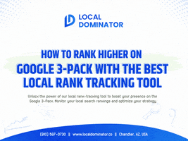 Local Rank Tracking Tool GIF