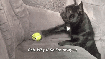 pie ball far ? ball why you so far away GIF