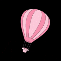 Hot Air Balloon GIF by Razzl Dazzl Hair