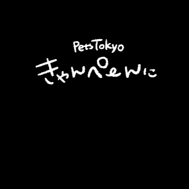 Co.Pets Tokyo GIF