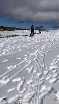 New South Wales Toddlers Enjoy Their First Experience of Snow