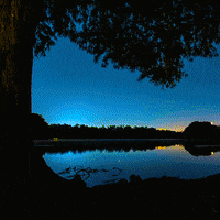 Good Morning Water GIF by University of Florida