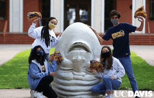 Celebration GIF by UC Davis