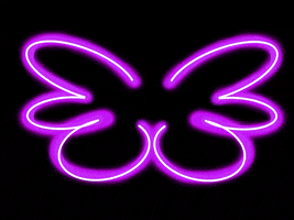 Pelirara neon light wings wing GIF