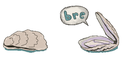 Oyster Sticker