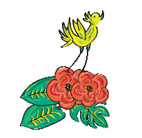 zacchissimi Sticker