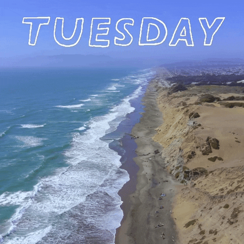Video gif. An aerial view of the coastline as waves lap at sandy beaches. Text, "Tuesday."