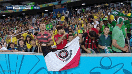 2014 world cup