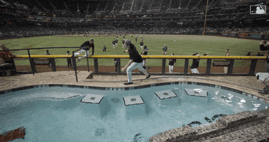 MLB GIFs From the Division Series! by Sports GIFs | GIPHY