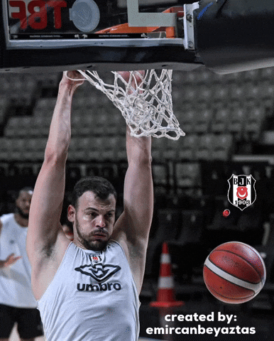Ante Zizic GIF