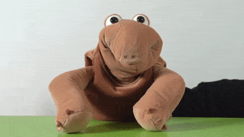 Happy Turtle GIF by Living Puppets