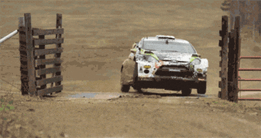 Fiesta Rally Car GIFs - Get the best GIF on GIPHY