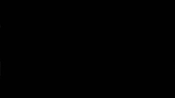 Dynamic GIF
