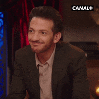 Fun Lol GIF by CANAL+