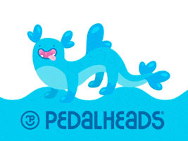 pedalheads swimming waves swim ph GIF